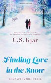 Finding Love in the Snow (eBook, ePUB)