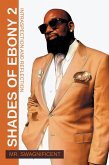 Shades of Ebony 2 (eBook, ePUB)