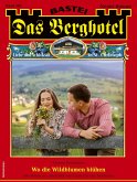 Das Berghotel 340 (eBook, ePUB) Das Berghotel 340 (eBook, ePUB)