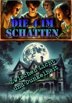 Cover Die 4 im Schatten: Zwischen Licht und Dunkelheit