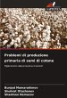 Problemi di produzione primaria di semi... - Bild 1