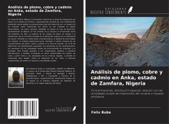 Cover Análisis de plomo, cobre y cadmio en Anka, estado de Zamfara, Nigeria