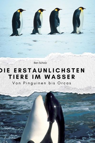 Die erstaunlichsten Tiere im Wasser Die erstaunlichsten Tiere im Wasser