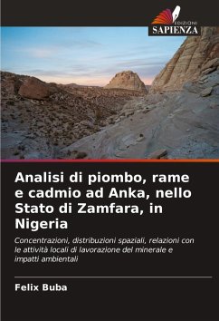 Analisi di piombo, rame e cadmio ad Anka, nello Stato di Zamfara, in Nigeria - Buba, Felix