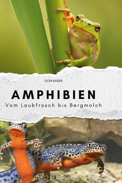 Cover Amphibien