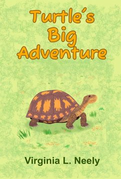 Cover Turtle's Big Adventure (eBook, ePUB)