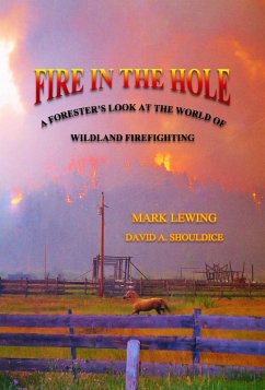 Cover Fire In the Hole (eBook, ePUB)