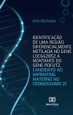 Identificação de uma região diferencialmente metilada no gene LOC642852 a montante do gene POFUT2, candidato ao imprinting materno no cromossomo 21 (eBook, ePUB)