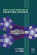 Multi-Scale Modeling of Structural... - Bild 1