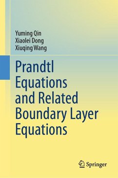 Prandtl Equations and Related Boundary Layer Equations (eBook, PDF) - Qin, Yuming; Dong, Xiaolei; Wang, Xiuqing