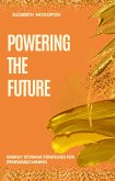 Powering the Future: Energy Storage Strategies for Renewable Mining (MINING AUTOMATION) (eBook, ePUB)