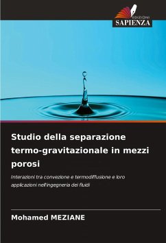 Studio della separazione termo-gravitazionale in mezzi porosi - MEZIANE, Mohamed