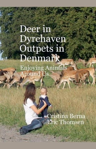 Deer in Dyrehaven - Outpets in Denmark Deer in Dyrehaven - Outpets in Denmark