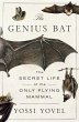 The Genius Bat (eBook, ePUB) - Bild 1