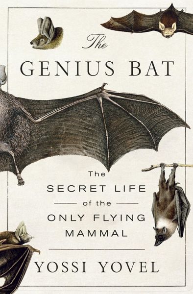 The Genius Bat (eBook, ePUB) The Genius Bat (eBook, ePUB)