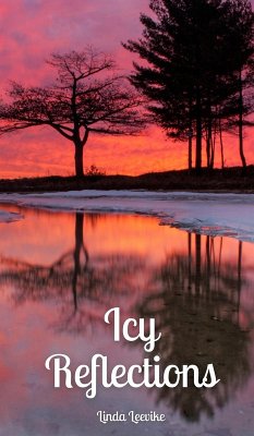 Cover Icy Reflections