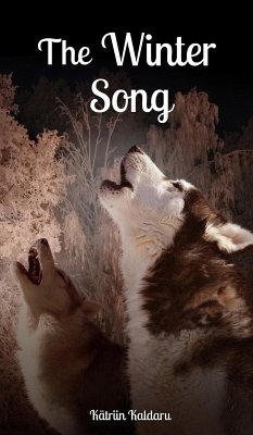 Cover The Winter Song