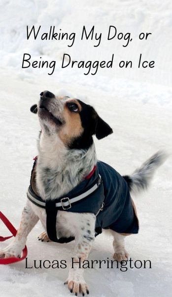 Walking My Dog, or Being Dragged on Ice