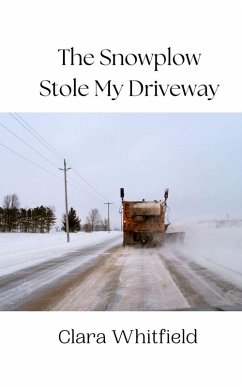 Cover The Snowplow Stole My Driveway