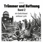 Trümmer und Hoffnung Band 2 (eBook, ePUB)