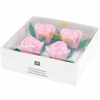 Clips Rosenkopf, Rosa