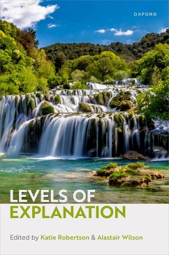Levels of Explanation (eBook, PDF)