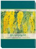Bunte Blütenpracht Bunte Blütenpracht