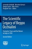 The Scientific Legacy of Beppo Occhialini