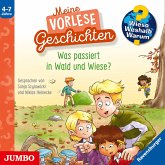 Was passiert in Wald und Wiese? [Wieso? Weshalb? Warum? Meine Vorlesegeschichten Folge 2] (MP3-Download)