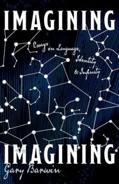 Imagining Imagining - Barwin, Gary