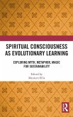 Spiritual Consciousness as Evolutionary Learning