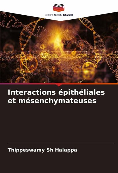Interactions épithéliales et mésenchymateuses Interactions épithéliales et mésenchymateuses