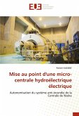 Mise au point d'une micro-centrale hydroélectrique électrique