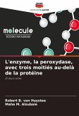 L'enzyme, la peroxydase, avec trois moitiés au-delà de la protéine L'enzyme, la peroxydase, avec trois moitiés au-delà de la protéine