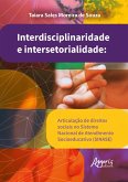 Interdisciplinaridade e Intersetorialidade: Articulação de Direitos Sociais no Sistema Nacional de Atendimento Socioeducativo (SINASE) (eBook, ePUB)