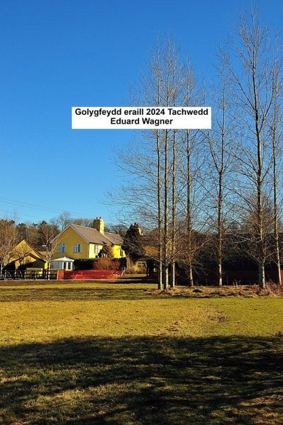 Golygfeydd eraill 2024 Tachwedd (eBook, ePUB)