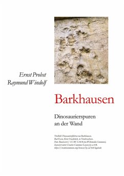 Cover Barkhausen