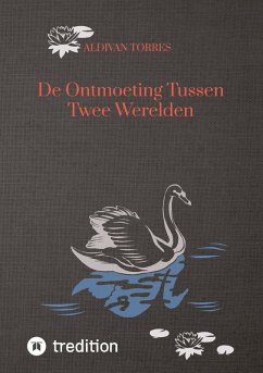 Cover De Ontmoeting Tussen Twee Werelden