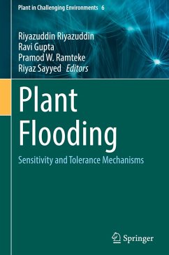 Cover Plant Flooding