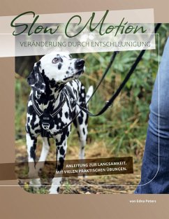 Slow Motion (eBook, ePUB) Cover Slow Motion (eBook, ePUB)