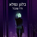 בלגן נפלא (MP3-Download)