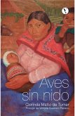 Aves sin nido (eBook, ePUB) Aves sin nido (eBook, ePUB)