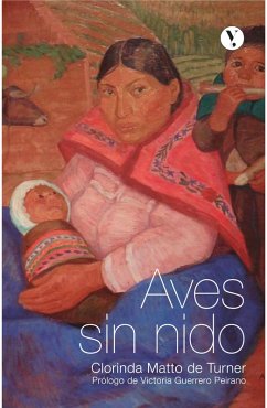 Aves sin nido (eBook, ePUB) - Matto De Turner, Clorinda