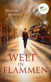 Welt in Flammen (eBook, ePUB)