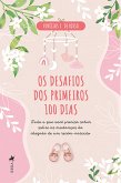 Os desafios dos Primeiros 100 Dias (eBook, ePUB)
