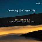 Nordic Lights In Persian Sky Nordic Lights In Persian Sky