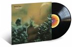 Katy Lied (Lp)