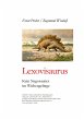 Lexovisaurus - Bild 1
