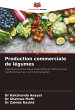 Production commerciale de légumes - Bild 1