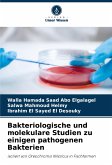 Bakteriologische und molekulare Studien zu einigen pathogenen Bakterien Bakteriologische und molekulare Studien zu einigen pathogenen Bakterien